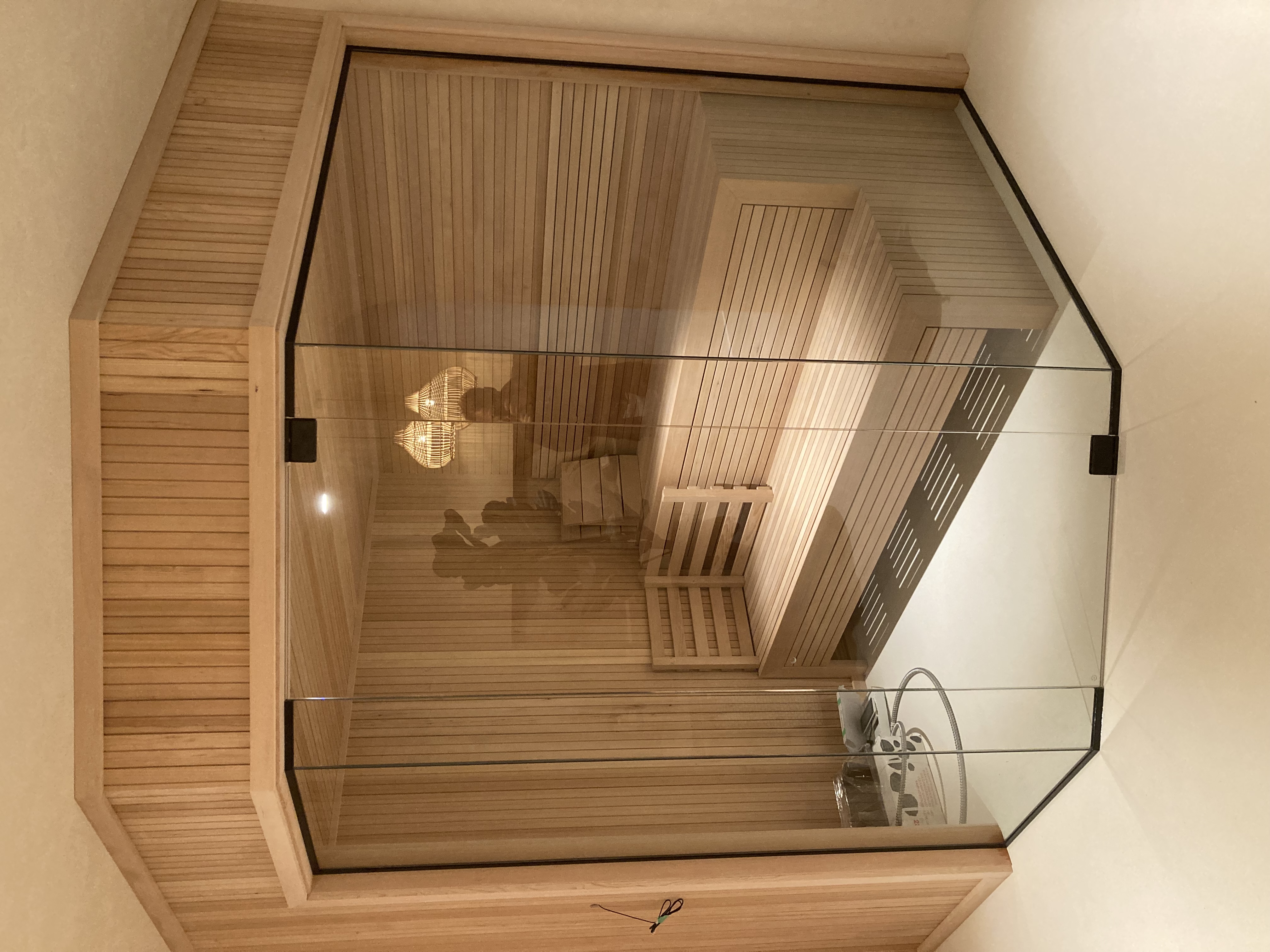 Custom glass sauna door