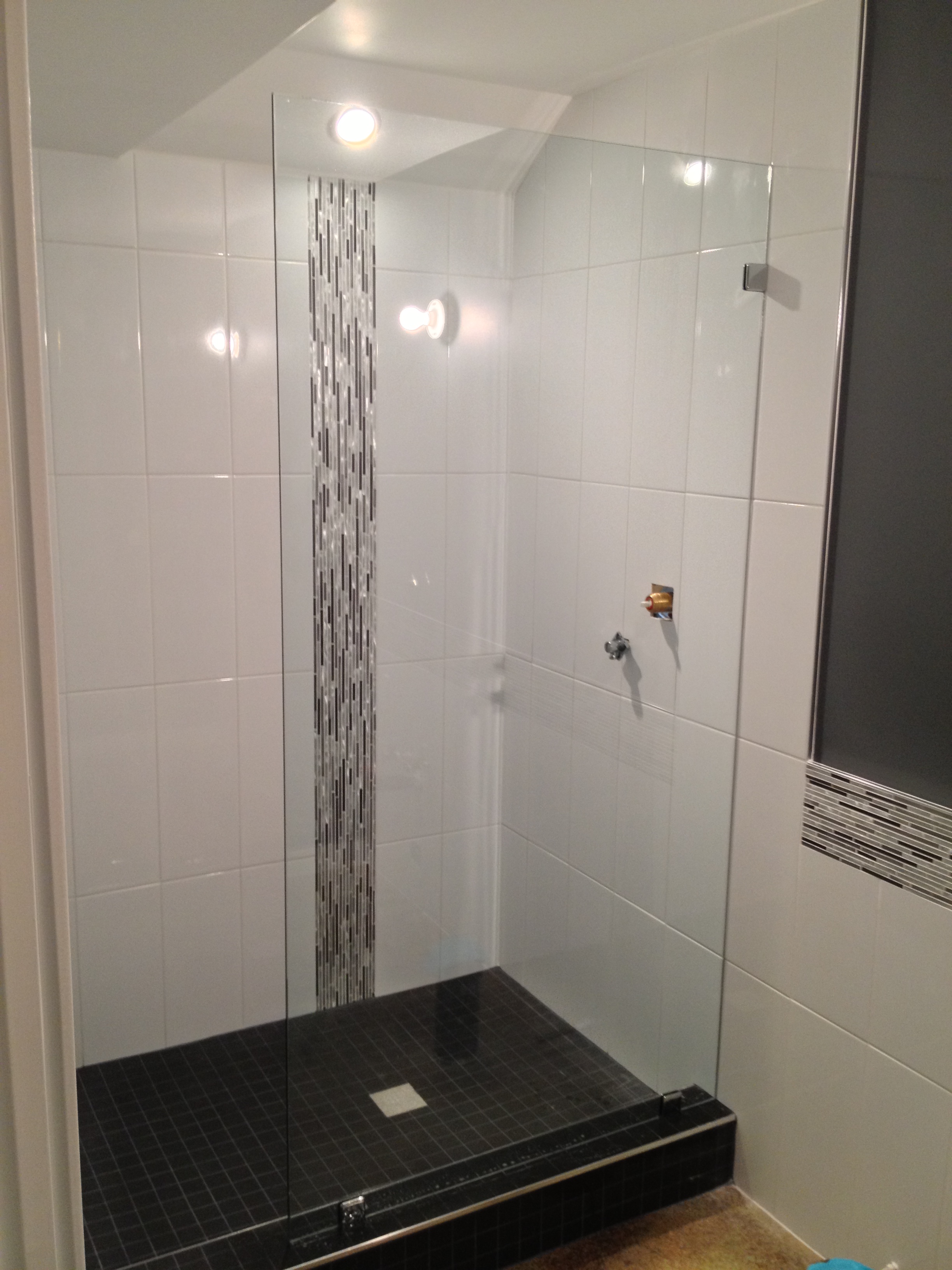 Frameless Glass Shower Panel