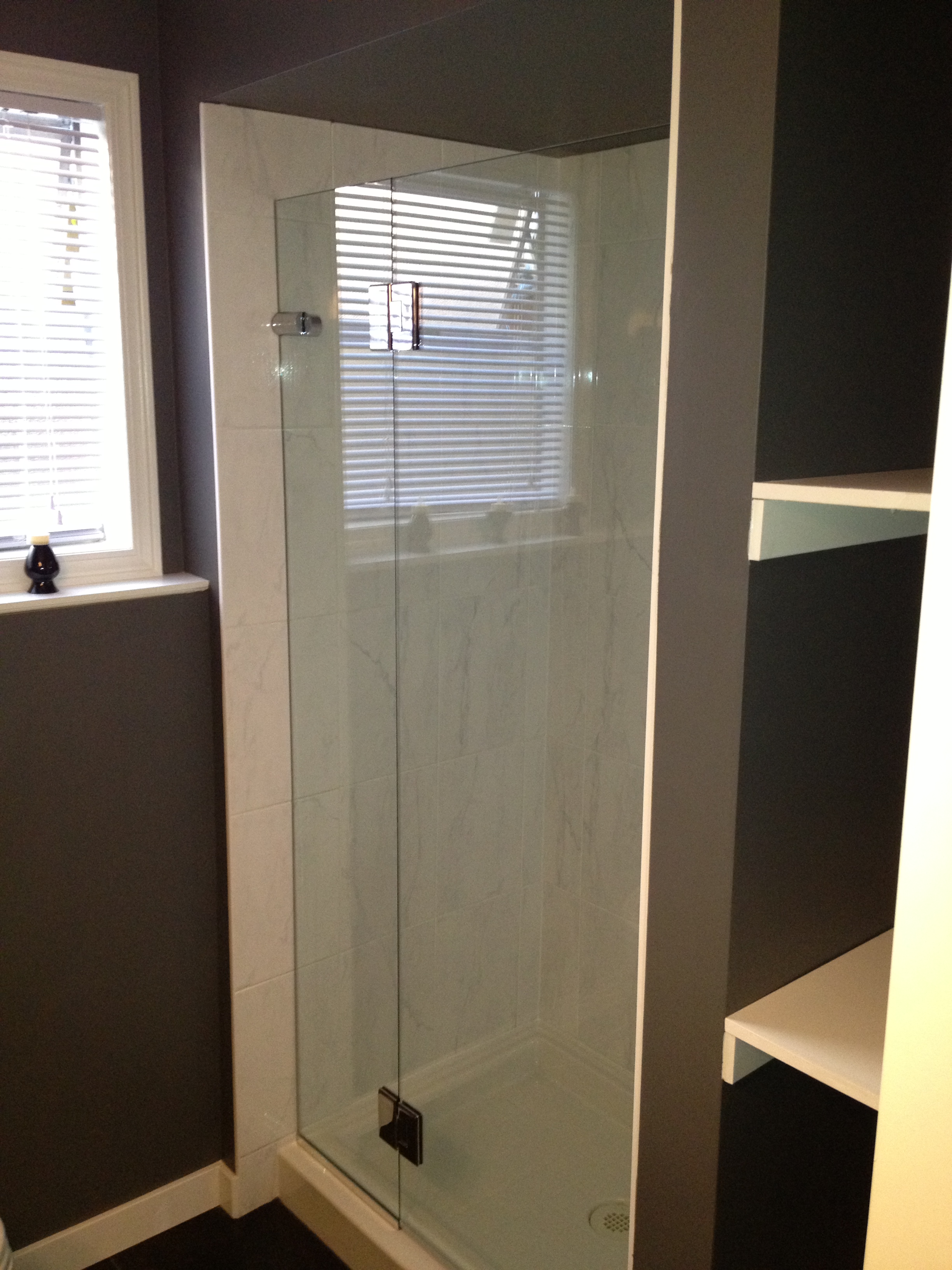 Frameless Glass Shower Door