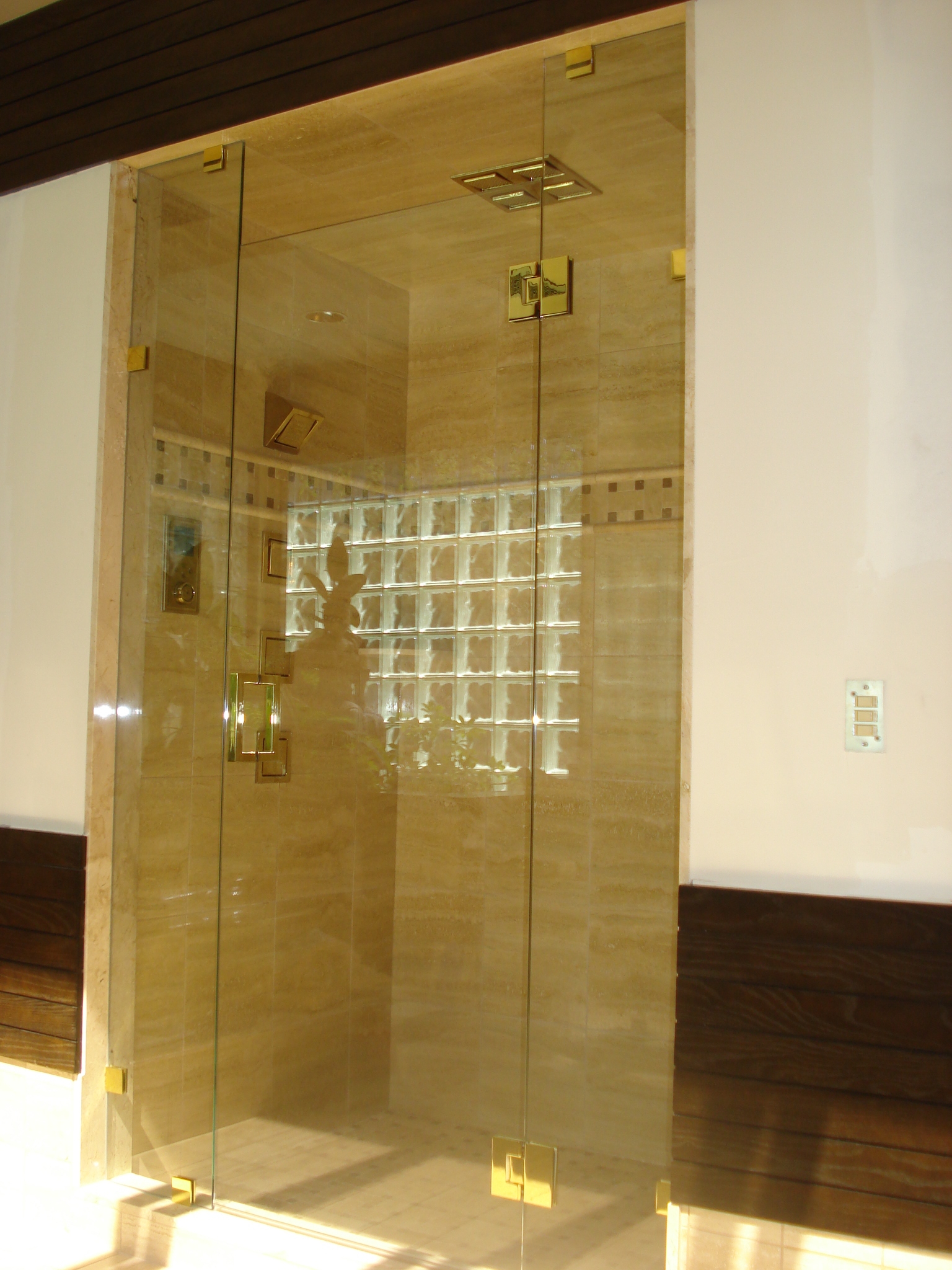 Frameless Glass Shower Door