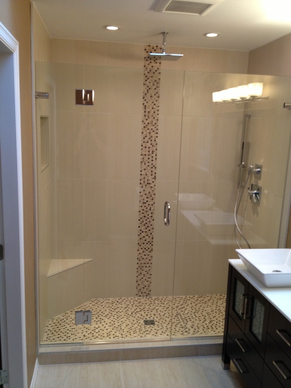 Frameless Glass Shower Door