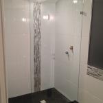 Frameless Glass Shower Panel